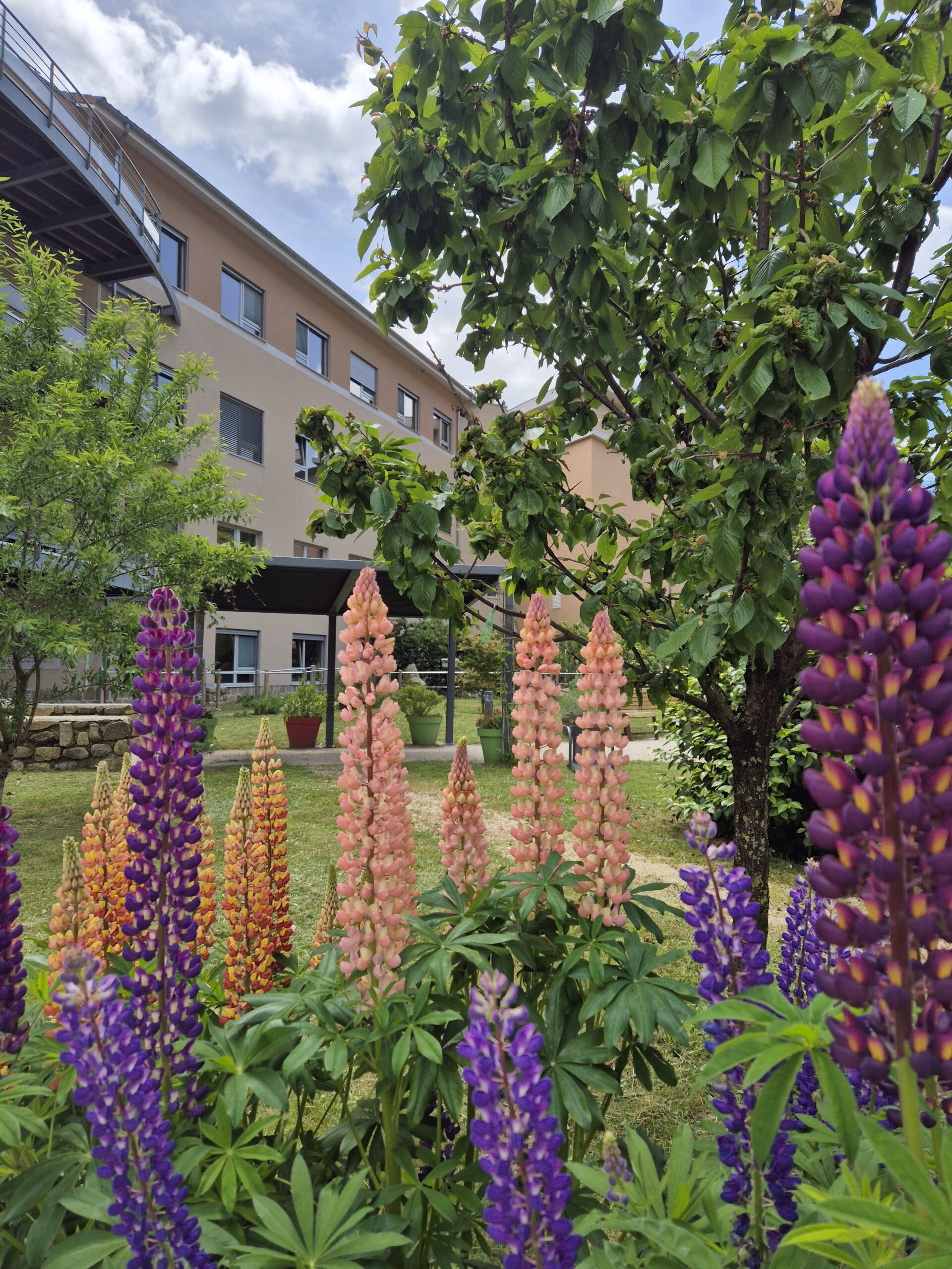 FLEUR2 bâtiment - Ehpad Camous-Salomon